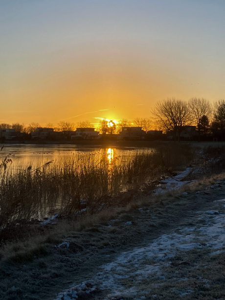 ochtend zon