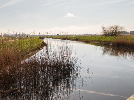 Rustiek water