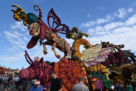 Bloemencorso Zundert maandag op tentoonstellingsterrein