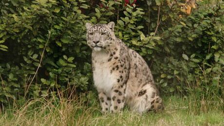 genieten nog even van het flauwe zonnetje