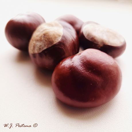 Kastanjes.