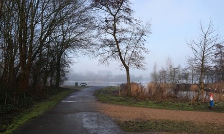 Beetje mist
