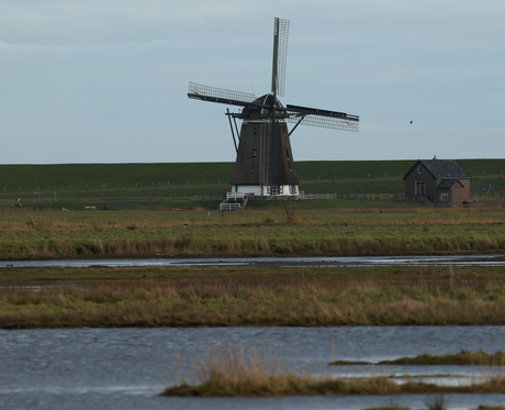 Landschap op Texel