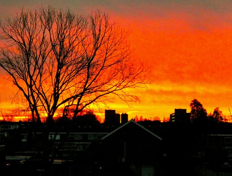 Op komende zon vanmorgen.