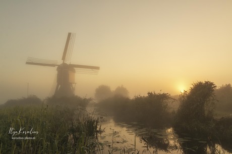 Mistige zonsopkomst in Streefkerk 