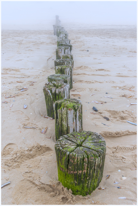 Mistig op het strand.