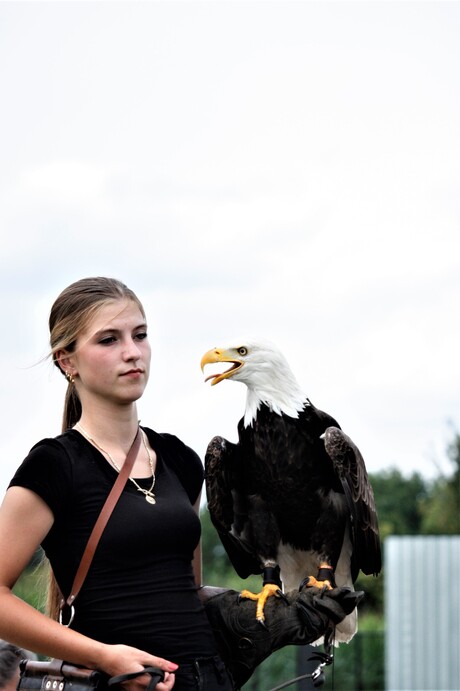 trainer: what you laughting at ?