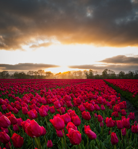 Zonsondergang