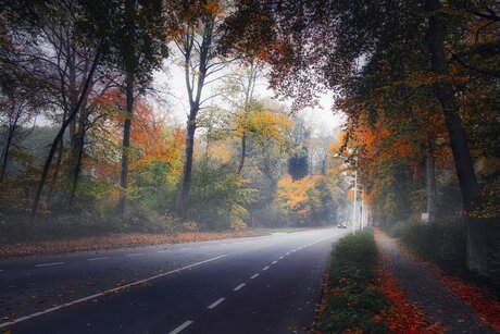 Julianalaan in de herfst