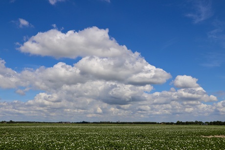 Wolken