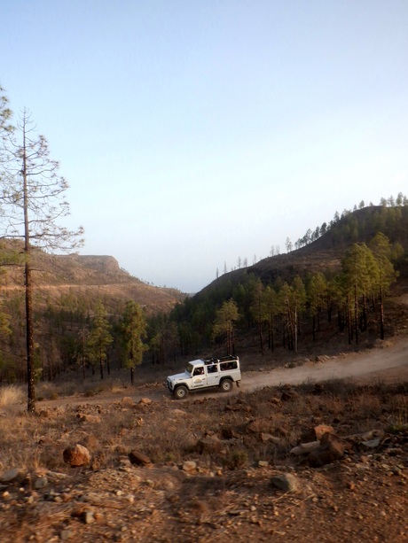 4x4 jeep safari