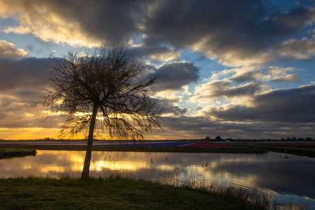 Wolken