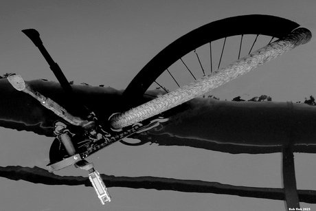Bicycle in water 