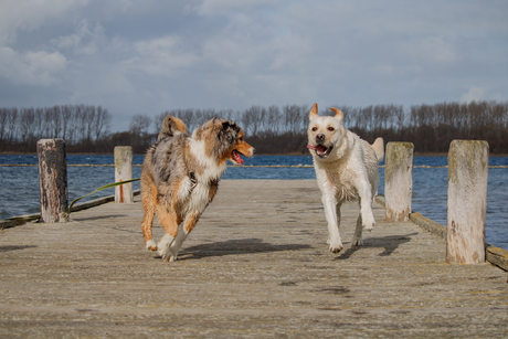 Uitwaaien op het strand