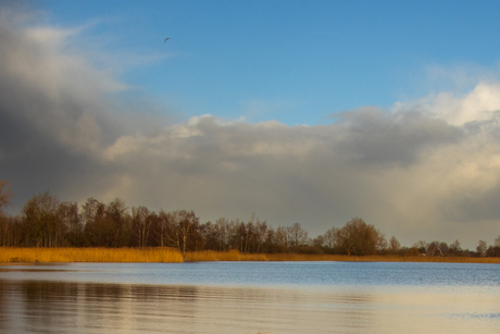 Spiegelplas in de winter