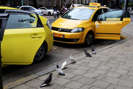 Met de taxi