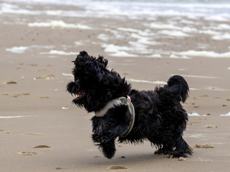 Beach life