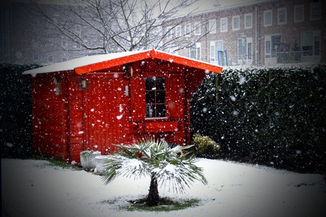 In de tuin
