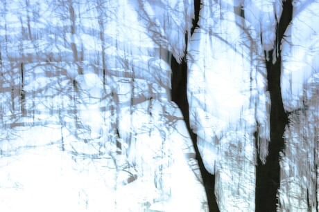 Compositie met bomen