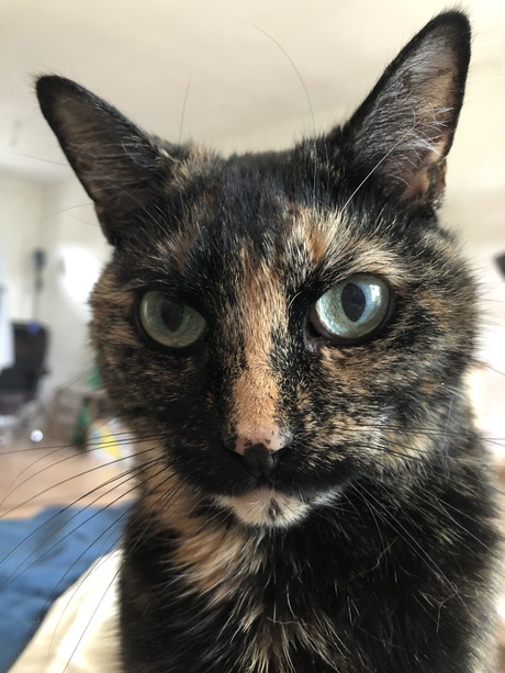 Luna