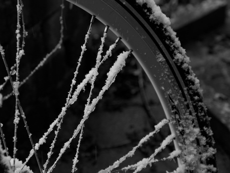 Mooi laten staan die fiets 