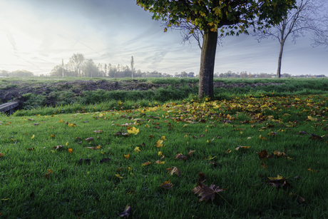 Herfst in Noord-Holland