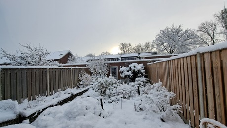 Winterochtend