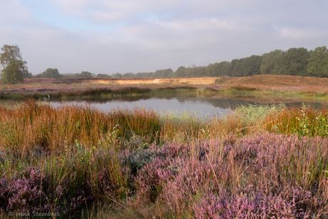 Mooie ochtend in de Groeve