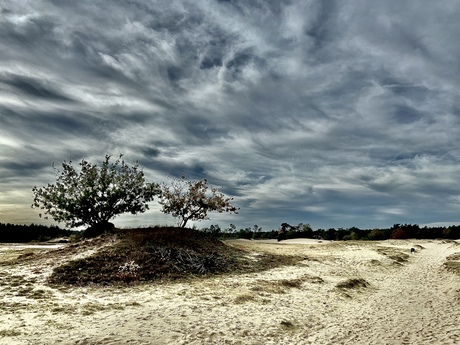 Kootwijkerzand 