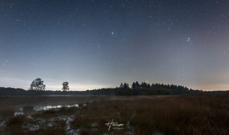 Nacht in het moeras...