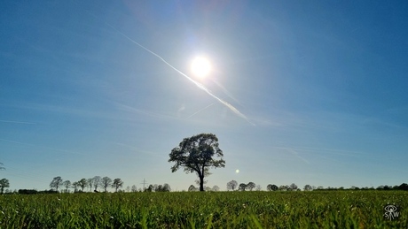 Op hoes an... Moar wa ff stoppen onderweg... Nr. 1.