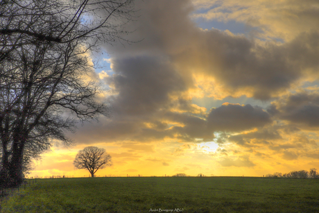 Zon gaat onder op oale groand.