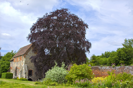 Canterbury, Greyfriars Chapel