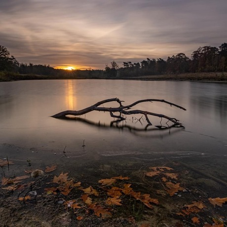 Herfstige Zonsopkomst Leemputten