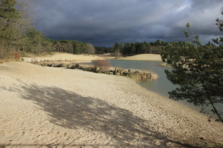 Bergse Heide