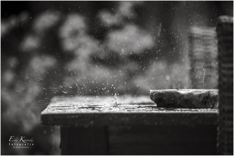 Het ritme van de regen...