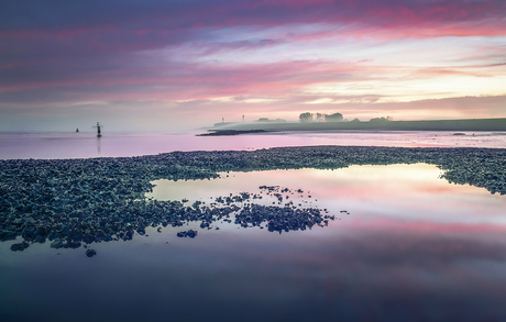Langs de Westerschelde.....