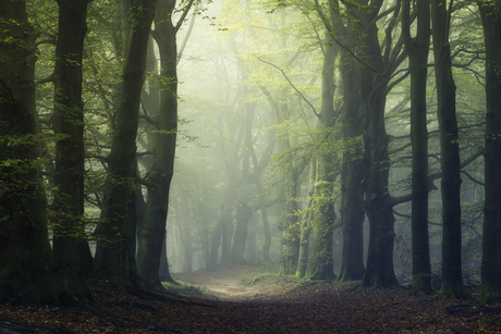 Magisch oktober licht