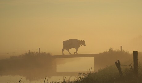 Over de wetering.