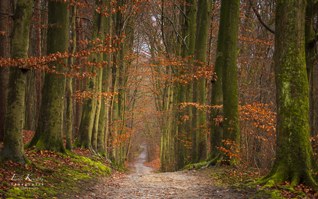 Rood en groen.