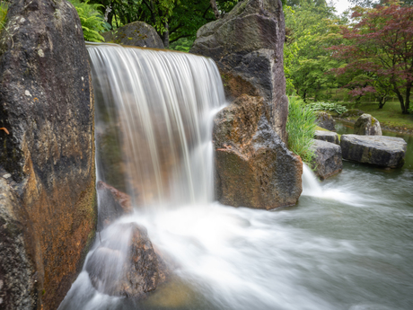 Japanse tuin