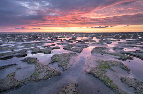 Wad na zonsondergang [3/3]