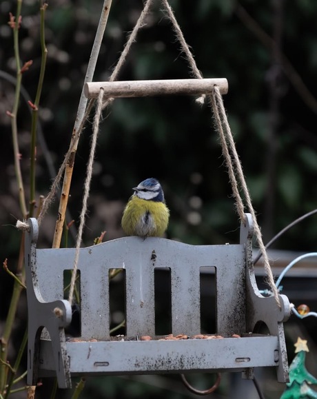 Zitten op de schommelbank 