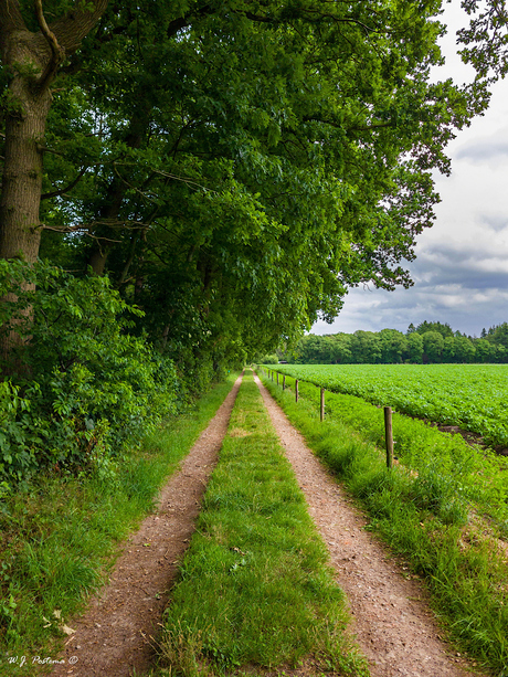 Countryroad. 