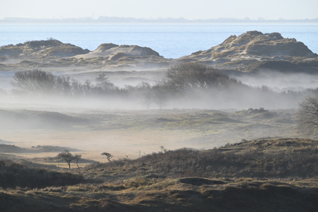 Nevel in de duinen in januari 
