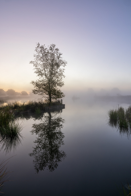 Serene ochtend