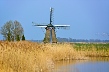 De Bullemolen aan de rand van Leeuwarden