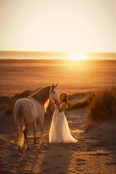 Romantische paardenfotografie - zonsondergang op het strand