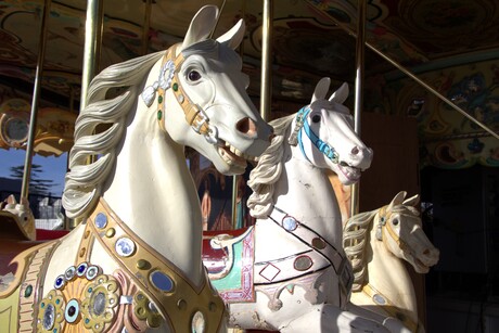 Traditionele Paardenmolen