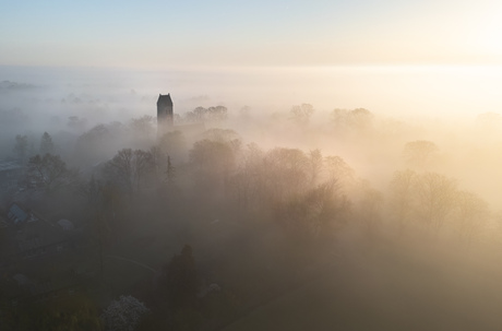 Midwolde in de mist